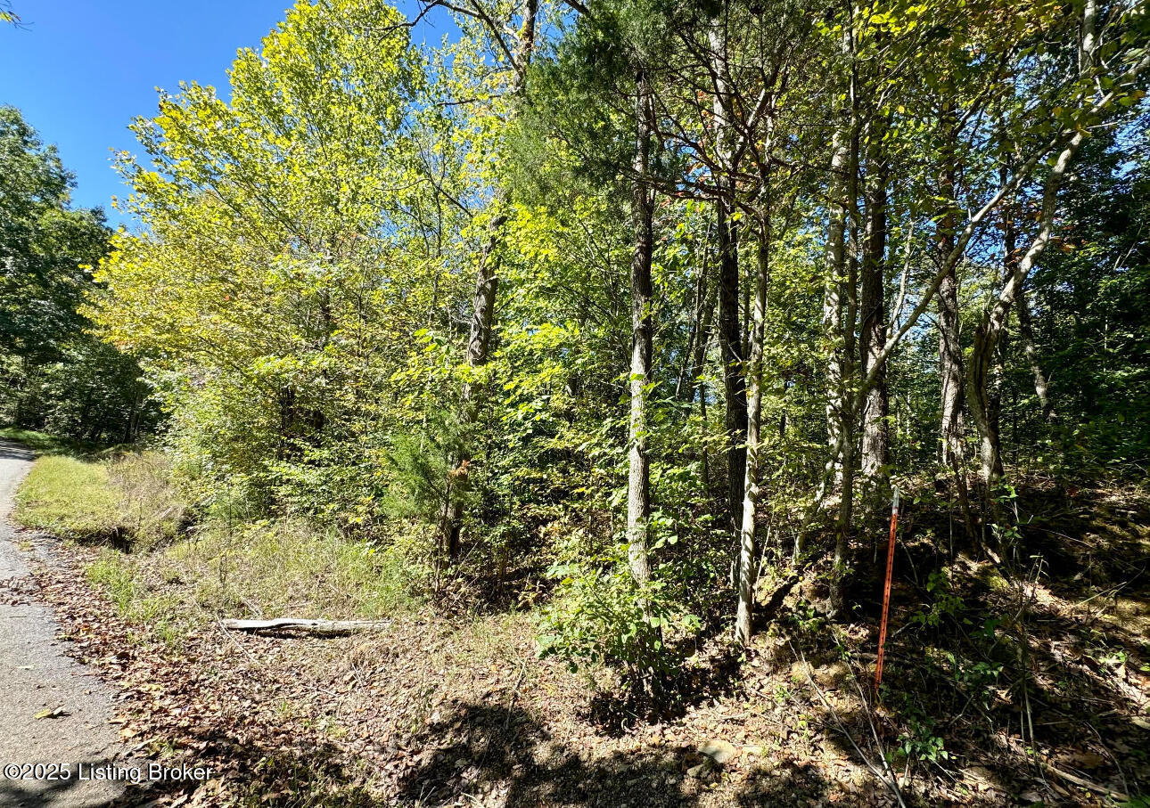 Tract 3 Sulphur Lick Rd, New Hope, Pennsylvania image 1
