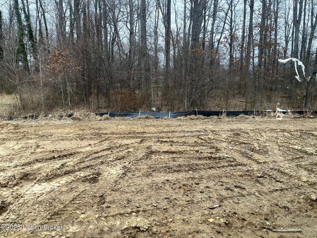 Photo of 8505 Lysander Dr, Louisville, KY 40214 (MLS # 1705941)