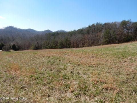 Vacant Land For Sale - 620 Robert Burden Rd<br/> Shepherdsville, KY 40165