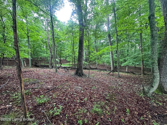 40 RED WING RD, BRANDENBURG, KY 40108 - Image 7a583ca5e76de7712c482676331b11df/7543776