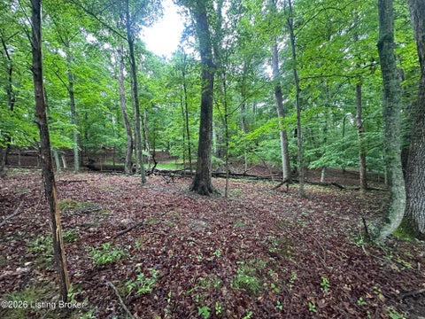 Vacant Land For Sale - LOT 40 Red Wing Rd<br/> Doe Valley, KY 40108
