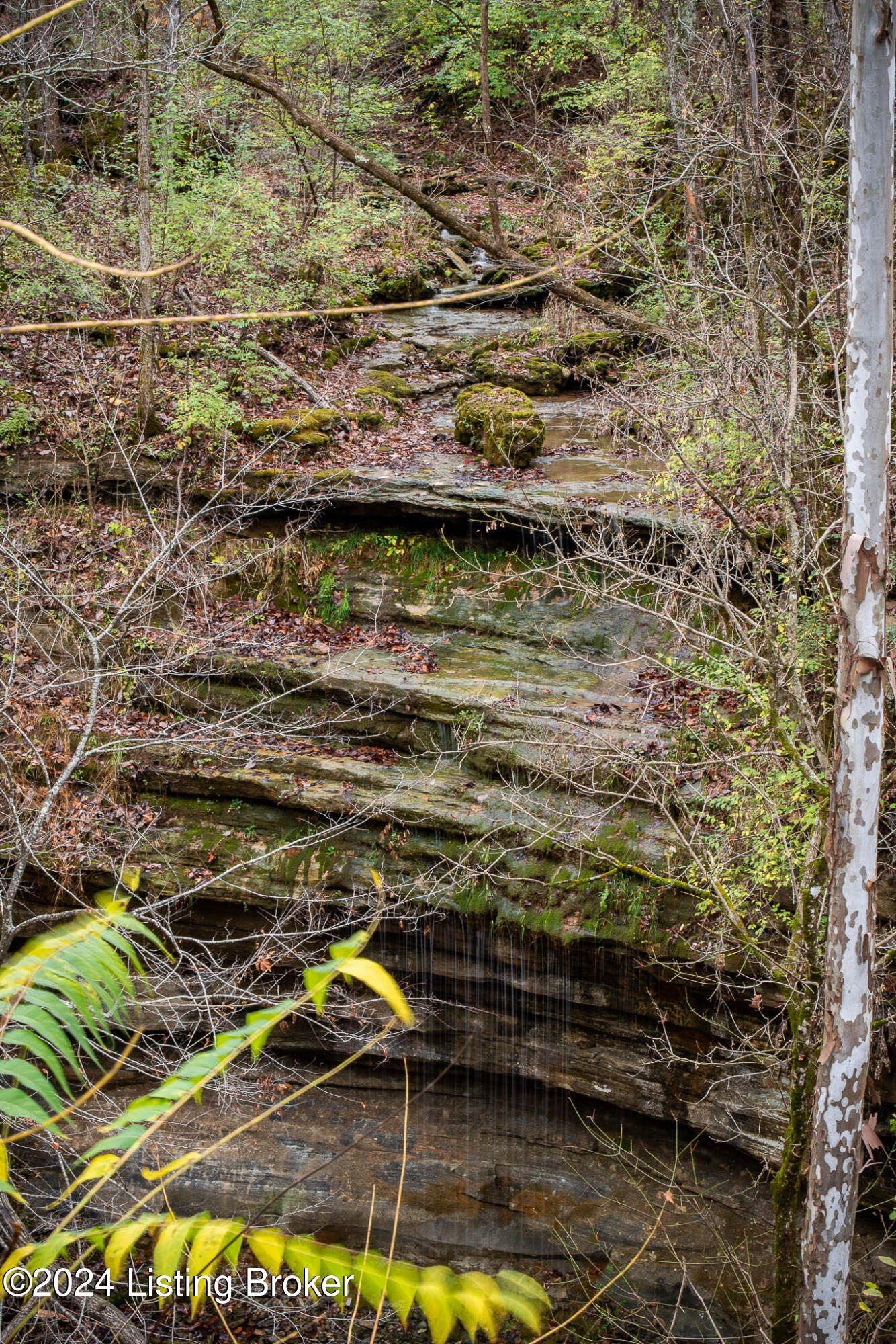 304 Hidden Falls Dr, Mt Washington, Pennsylvania image 46