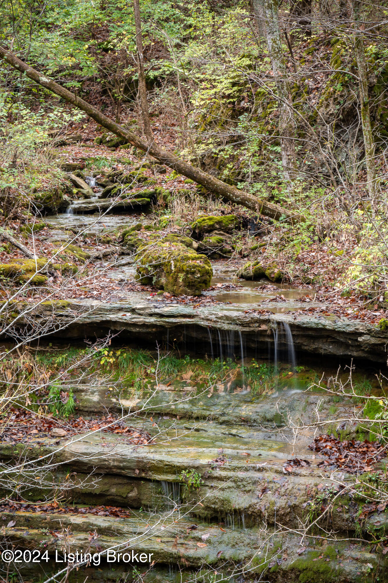 304 Hidden Falls Dr, Mt Washington, Pennsylvania image 47