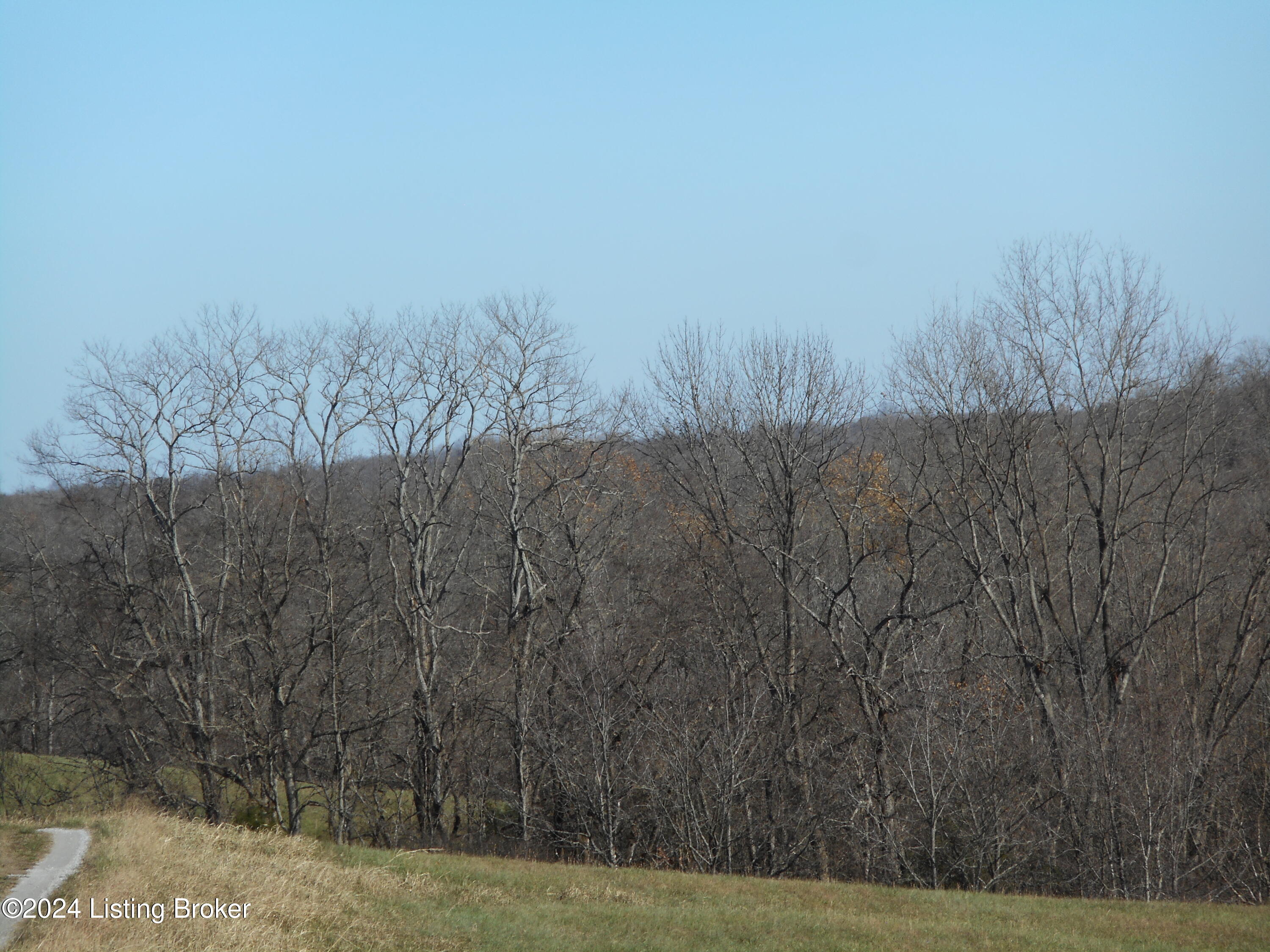 100 Patton Ln, Mount Eden, Kentucky image 5