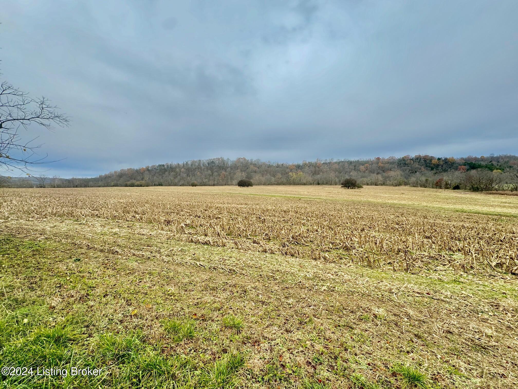 4 Grundy Home Rd, Springfield, Pennsylvania image 1