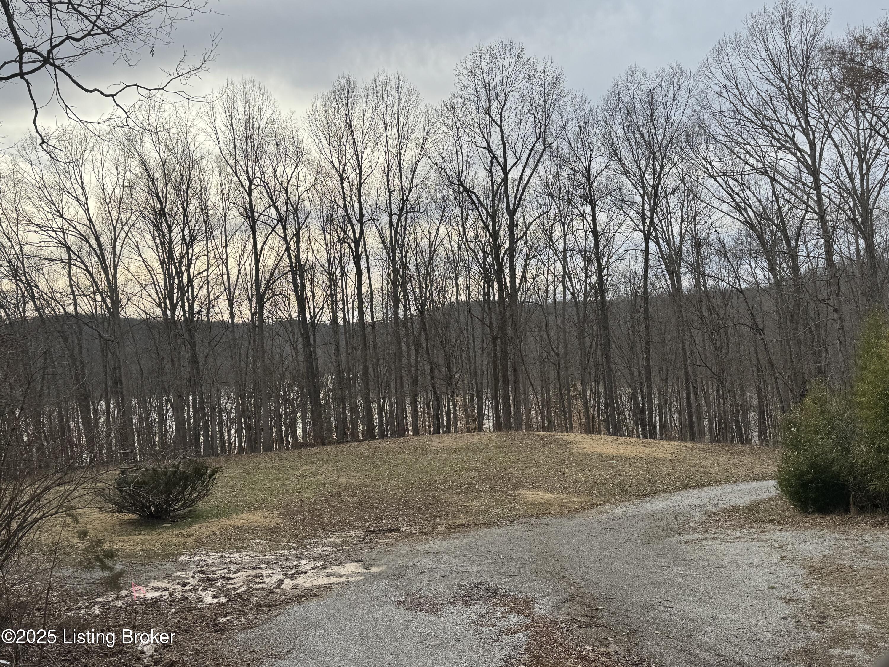 221 Conoloway Bay Dr, Clarkson, Kentucky image 15