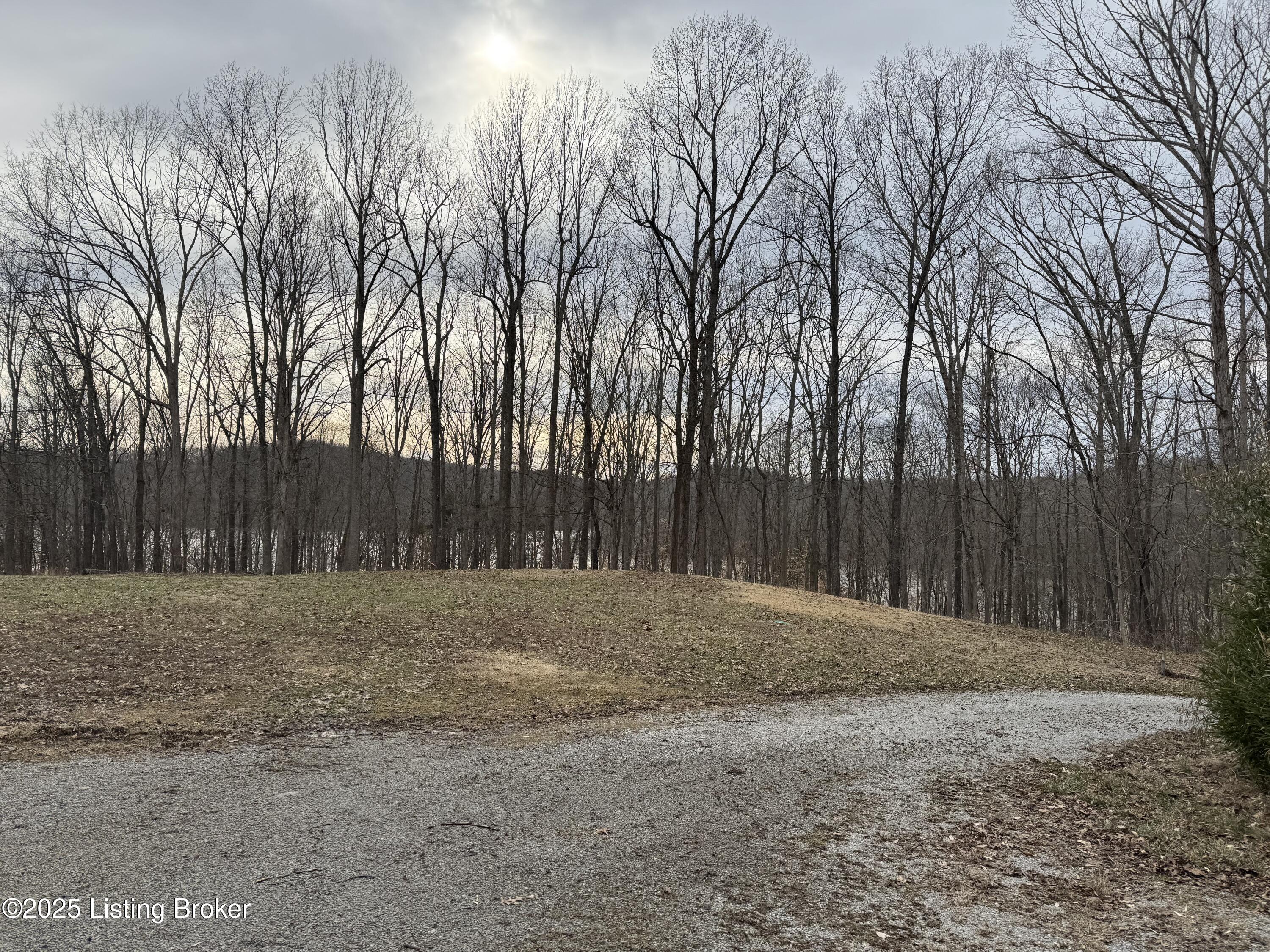 221 Conoloway Bay Dr, Clarkson, Kentucky image 25
