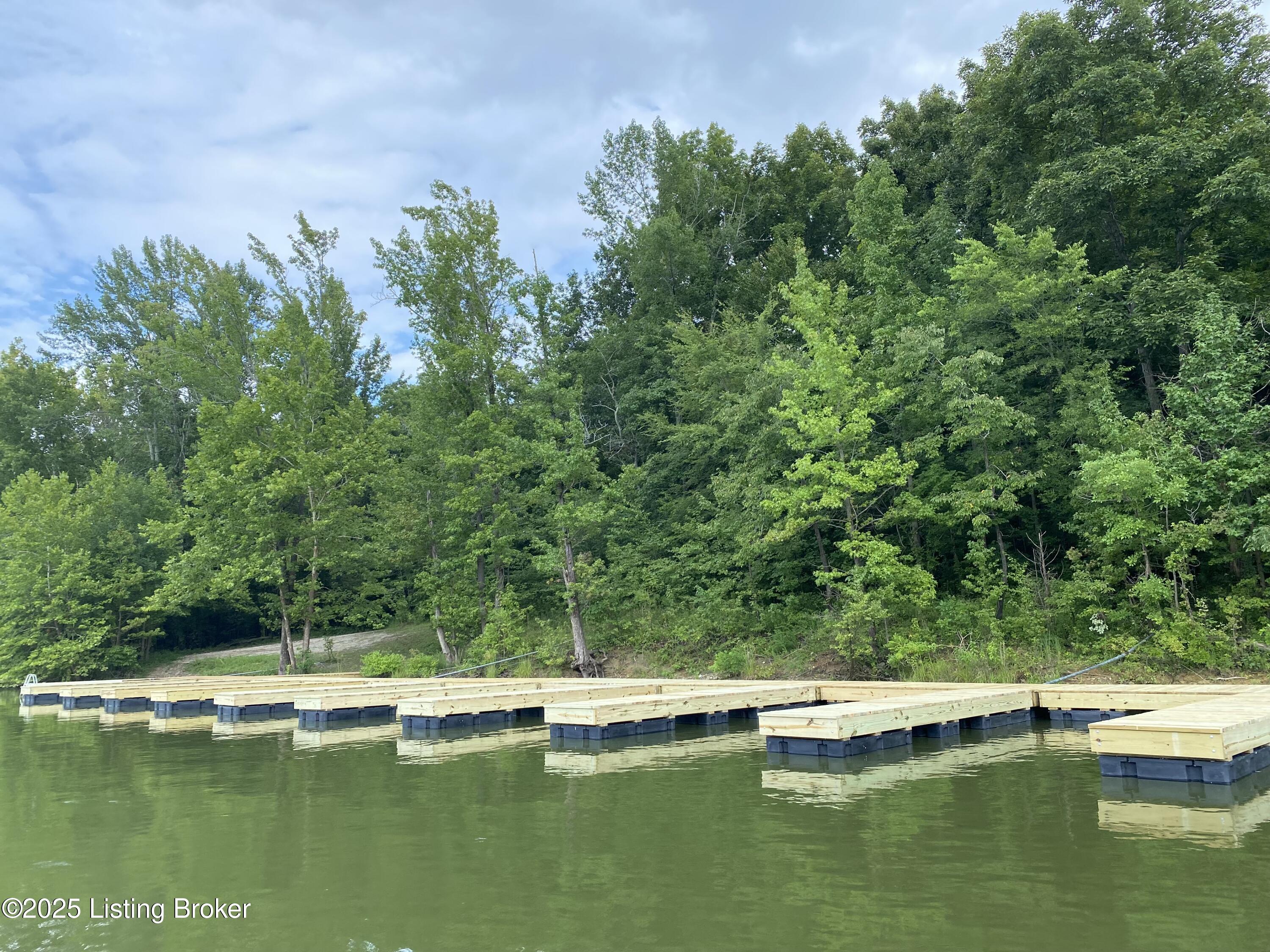 221 Conoloway Bay Dr, Clarkson, Kentucky image 7
