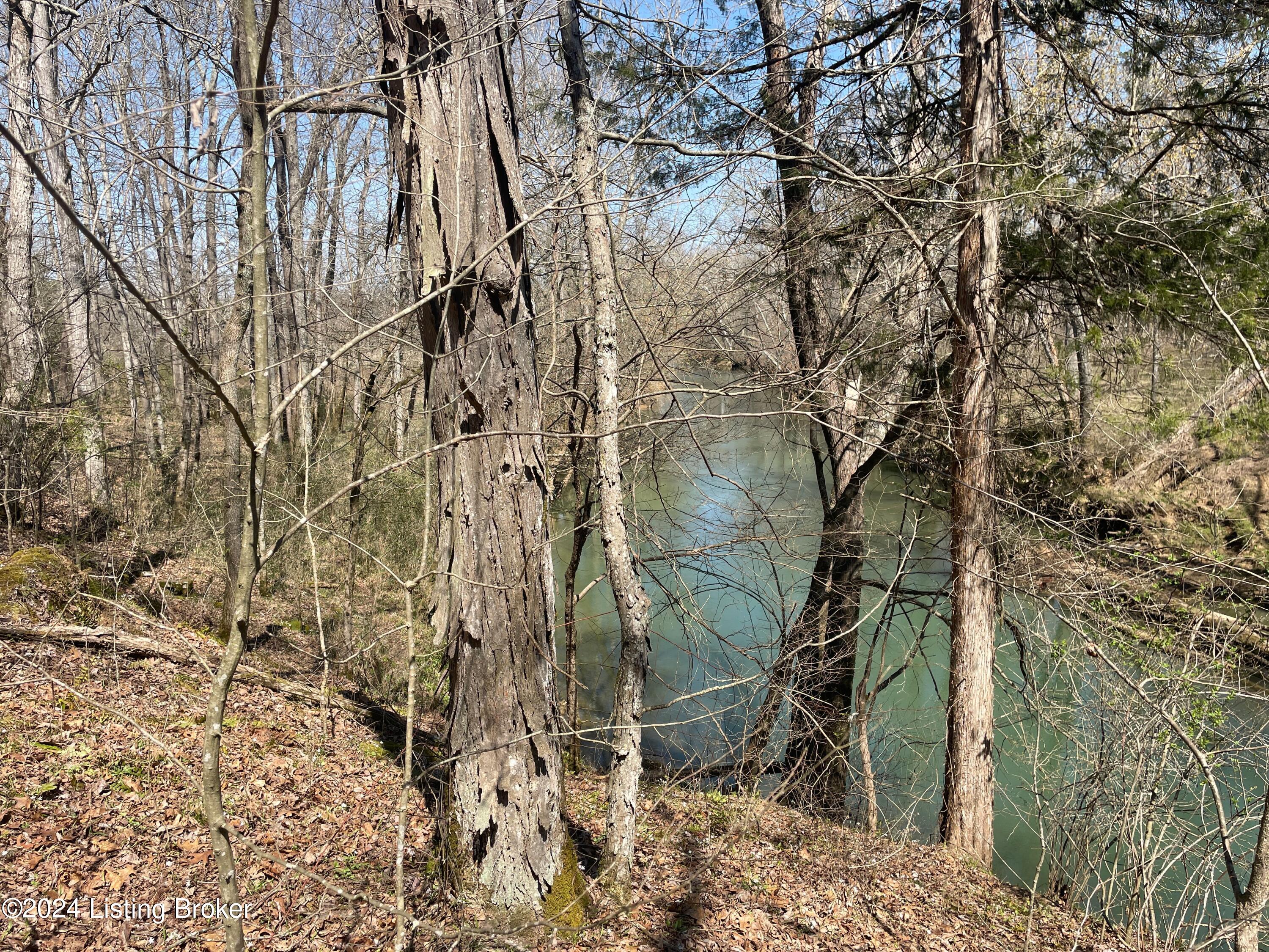 Lot 2 Shaw Creek Rd, Big Clifty, Kentucky image 9