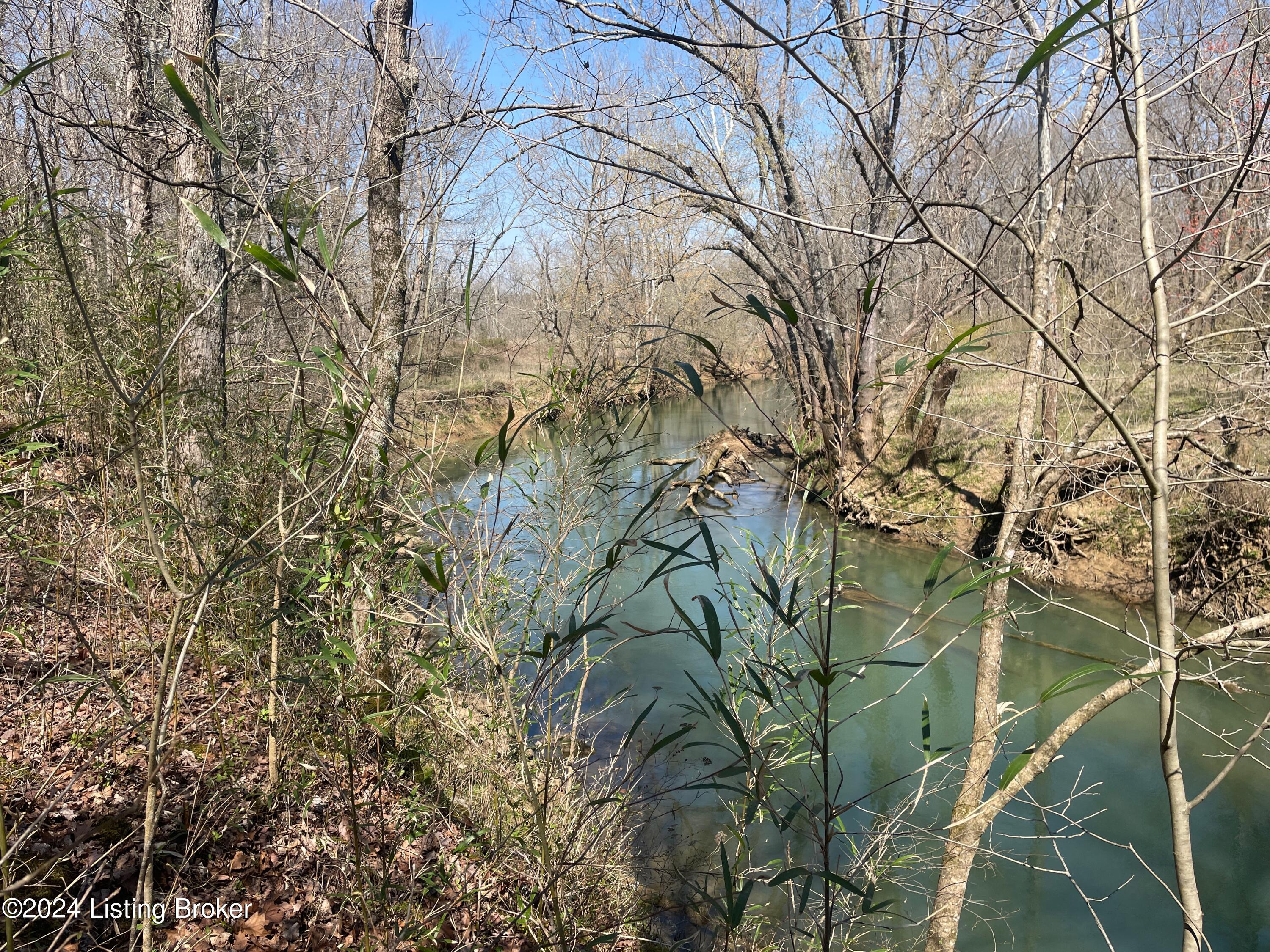 Lot 2 Shaw Creek Rd, Big Clifty, Kentucky image 7