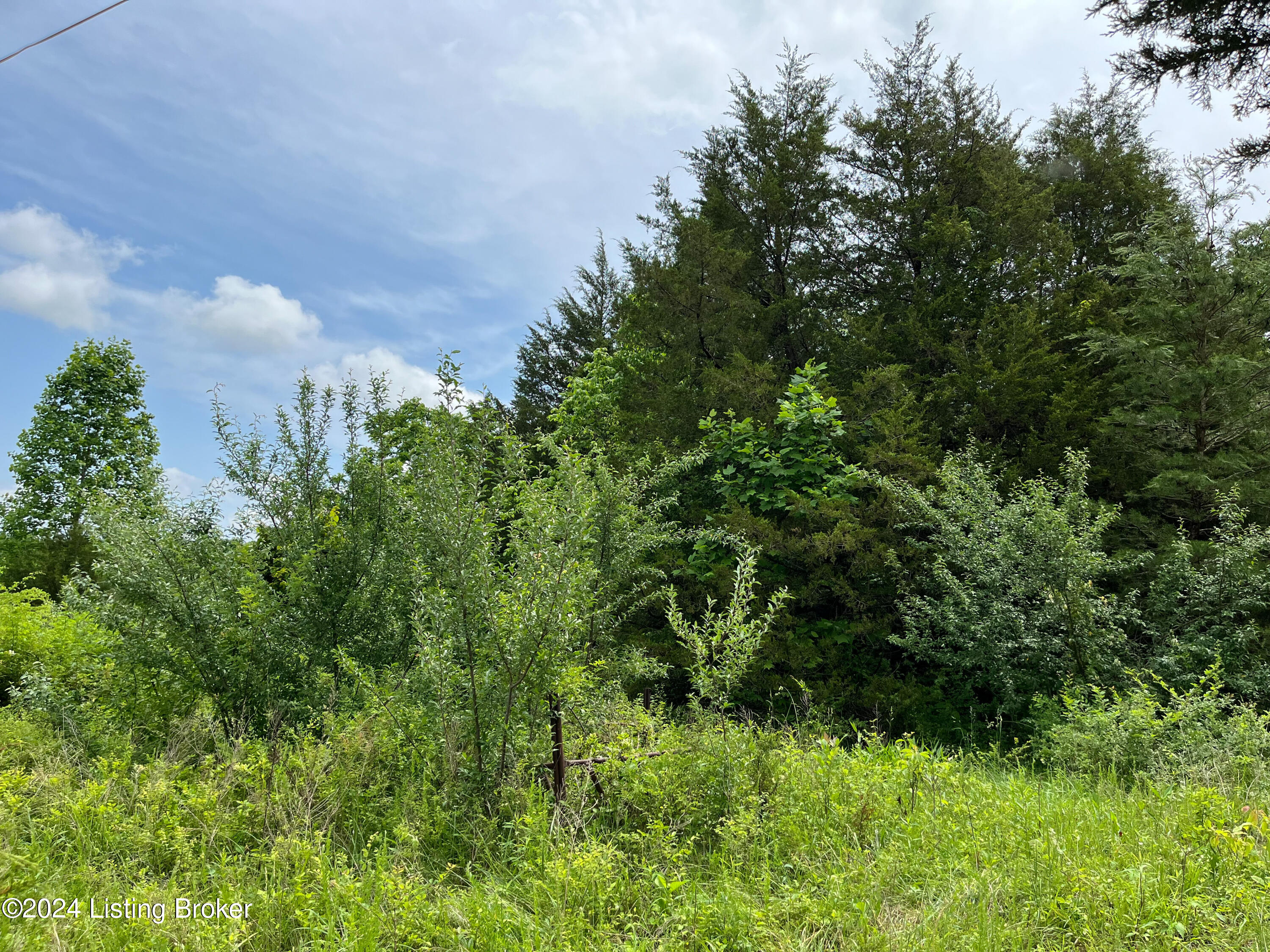 Lot 2 Shaw Creek Rd, Big Clifty, Kentucky image 3