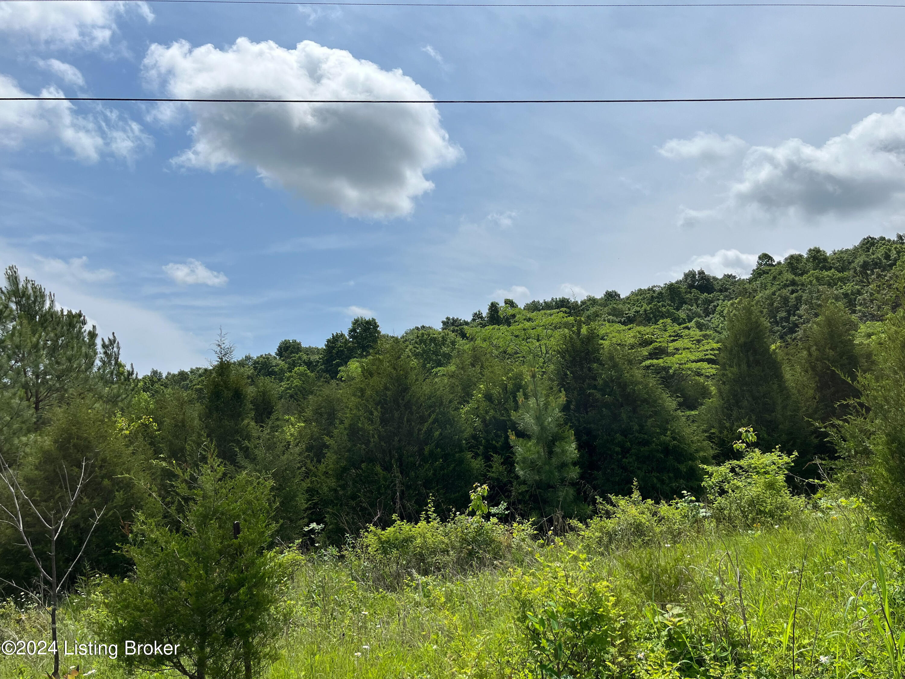 Lot 2 Shaw Creek Rd, Big Clifty, Kentucky image 1