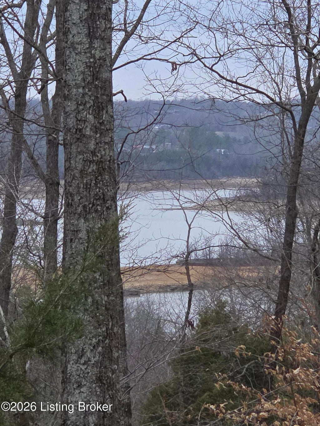 Photo of 1 Hillcrest Ln, Cub Run, KY 42729 (MLS # 1729236)