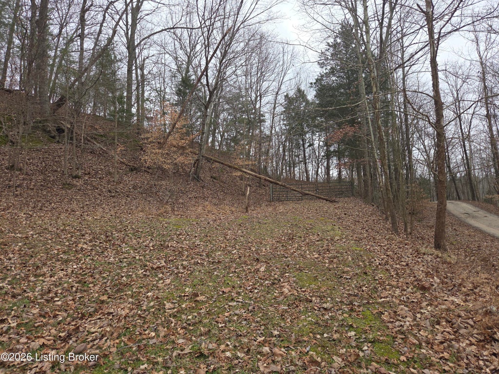 Photo of 1 Hillcrest Ln, Cub Run, KY 42729 (MLS # 1729236)