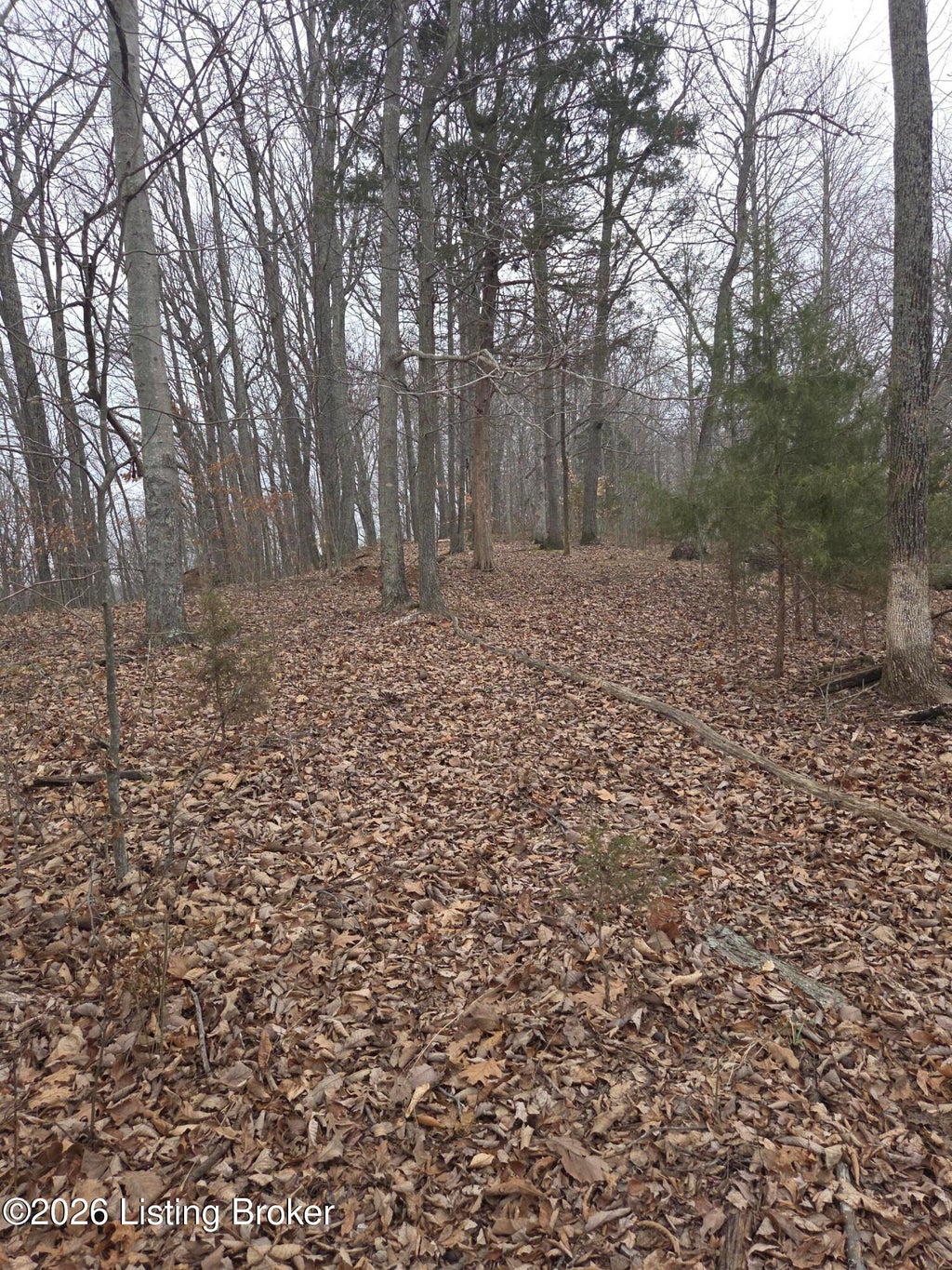 Photo of 1 Hillcrest Ln, Cub Run, KY 42729 (MLS # 1729236)