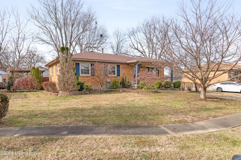 Photo of 10008 John Silver Ct, Louisville, KY 40229 (MLS # 1706982)