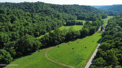 Vacant Land For Sale - 3397 Barebone Rd<br/> Bedford, KY 40006