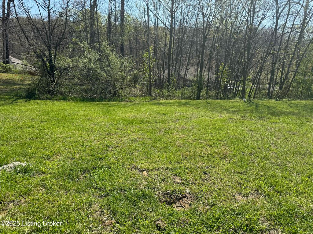 Photo of 3417 Westhill Cir, Louisville, KY 40214 (MLS # 1717172)