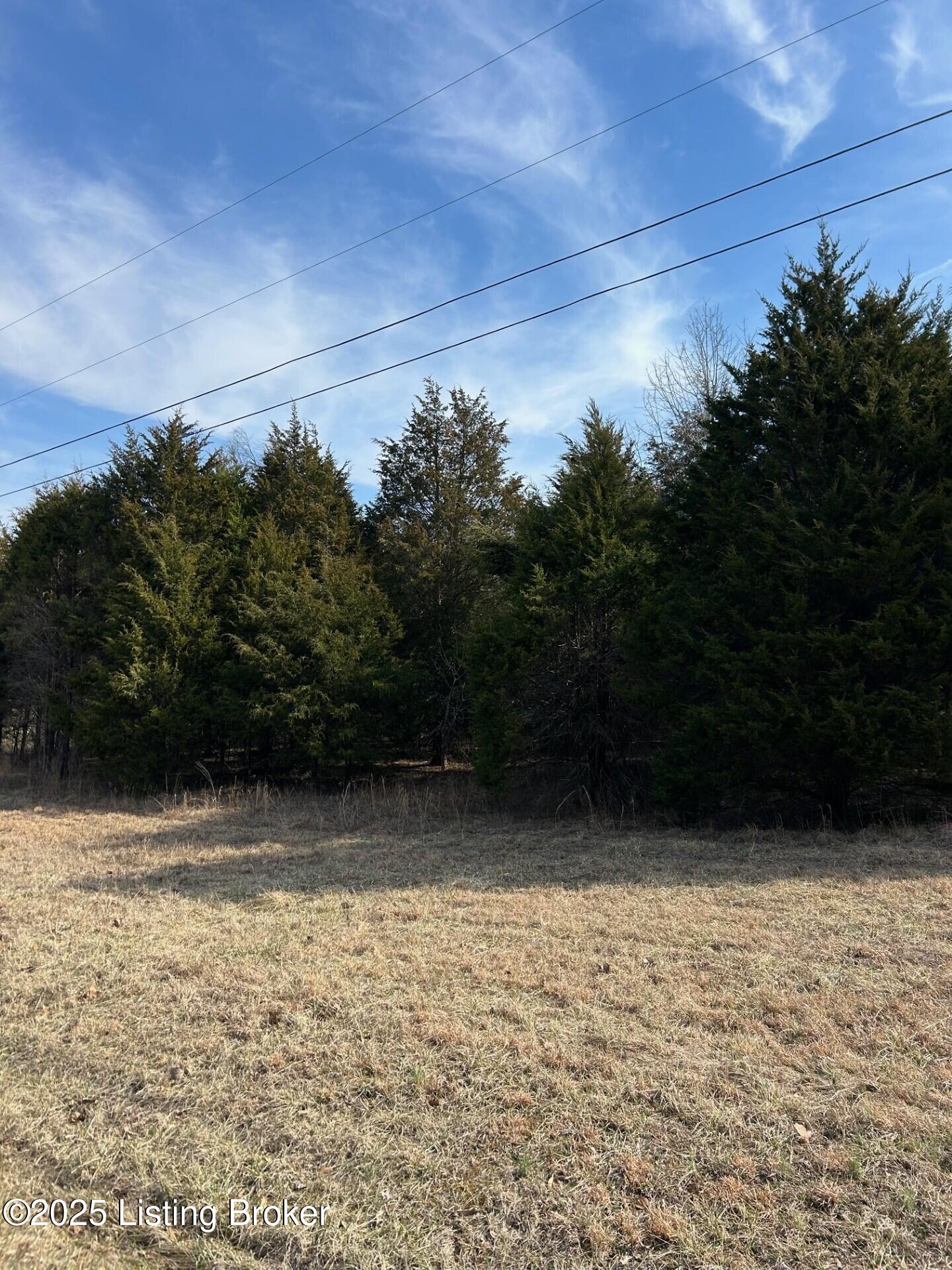5 Harris School Rd #16, Rineyville, Kentucky image 7