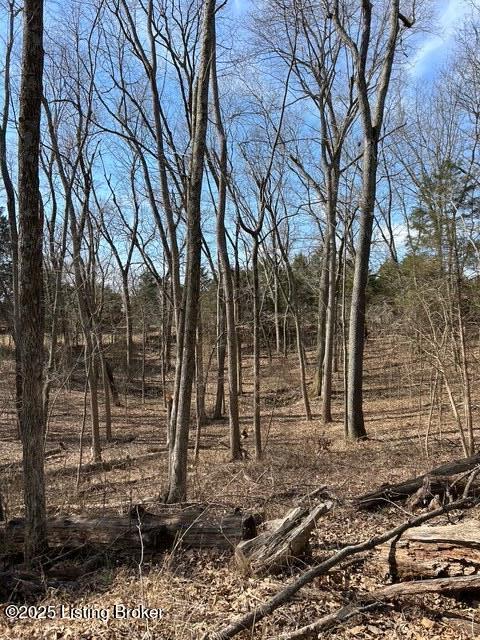 5 Harris School Rd #16, Rineyville, Kentucky image 12