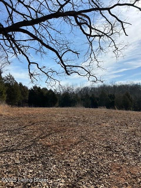 5 Harris School Rd #16, Rineyville, Kentucky image 1
