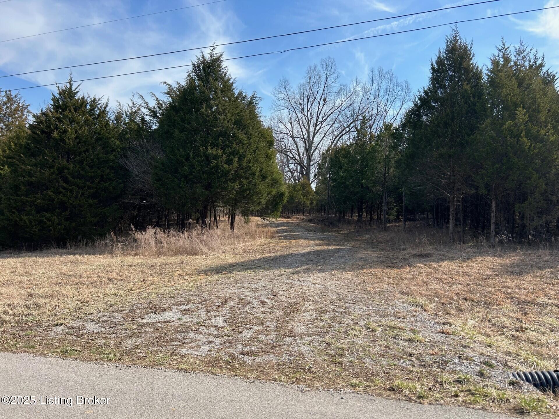 5 Harris School Rd #16, Rineyville, Kentucky image 5