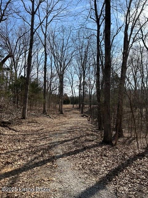 5 Harris School Rd #16, Rineyville, Kentucky image 10