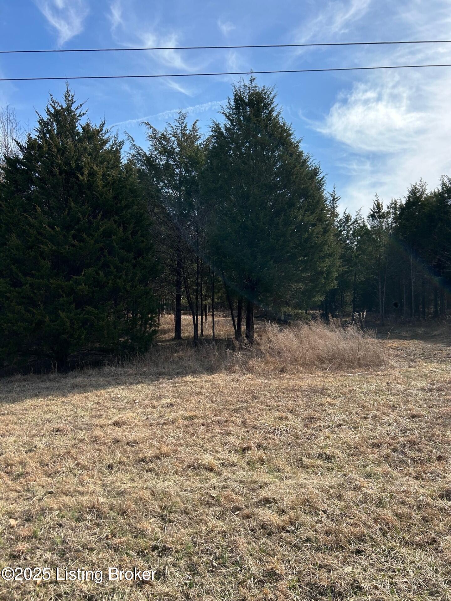 5 Harris School Rd #16, Rineyville, Kentucky image 6