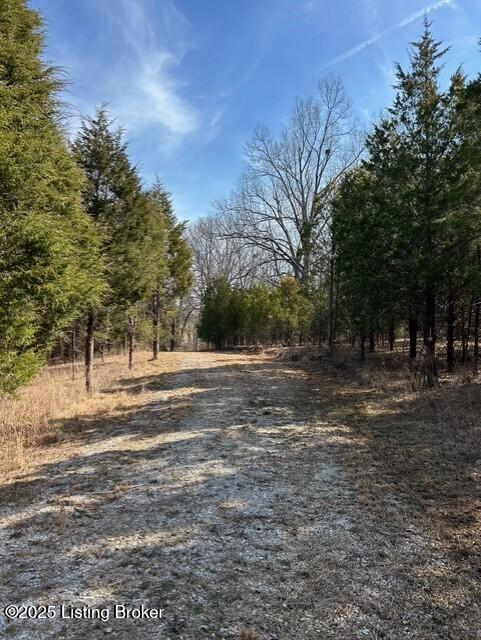 5 Harris School Rd #16, Rineyville, Kentucky image 8