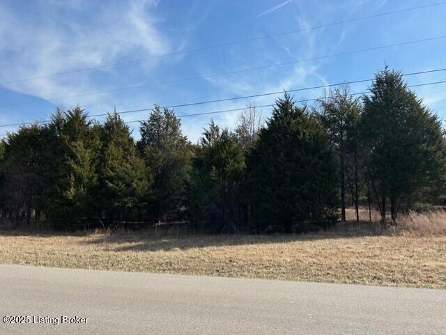 5 Harris School Rd #16, Rineyville, Kentucky image 3