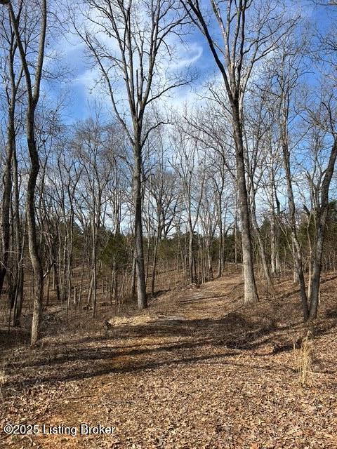 5 Harris School Rd #16, Rineyville, Kentucky image 11