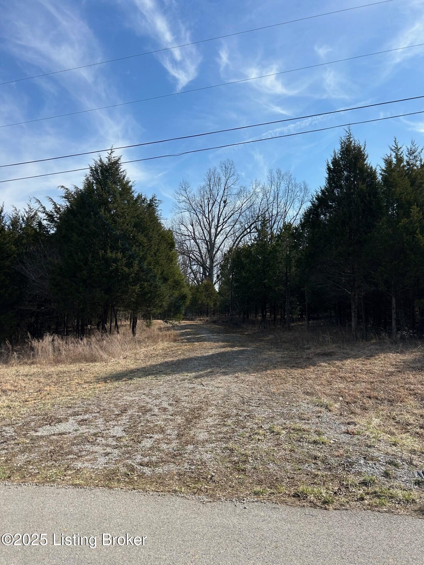 5 Harris School Rd #16, Rineyville, Kentucky image 4