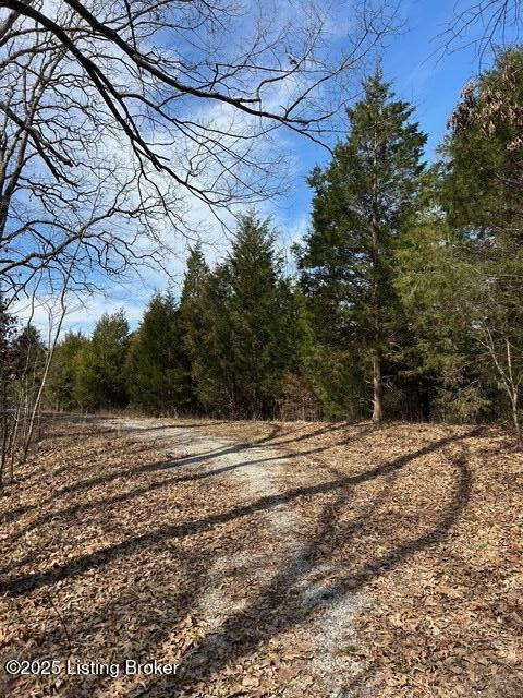 5 Harris School Rd #16, Rineyville, Kentucky image 9