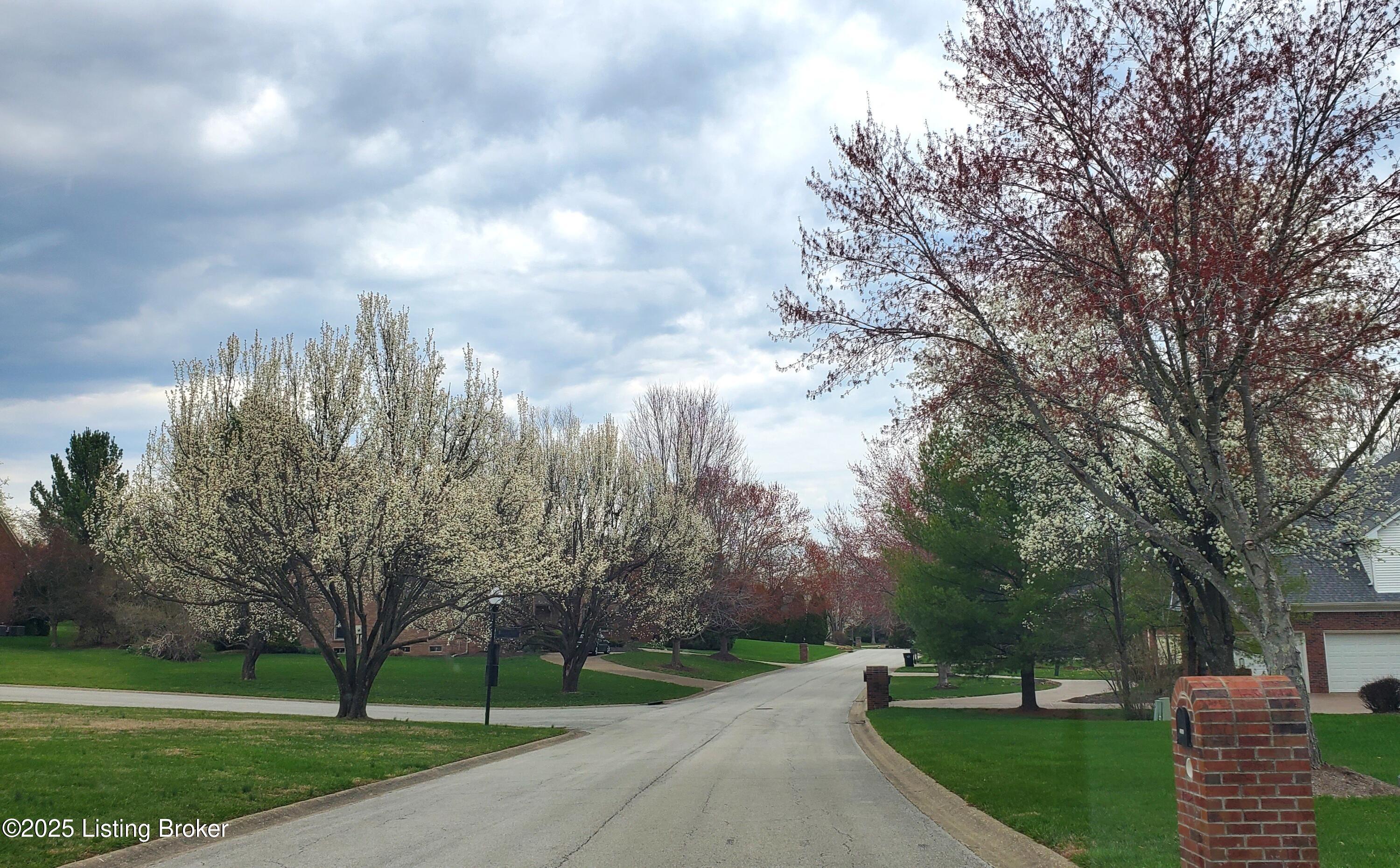 6617 Harrods View Cir, Prospect, Kentucky image 8