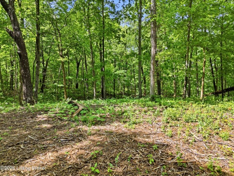 Tiny photo for 5900 Billtown Rd, Louisville, KY 40299 (MLS # 1730964)