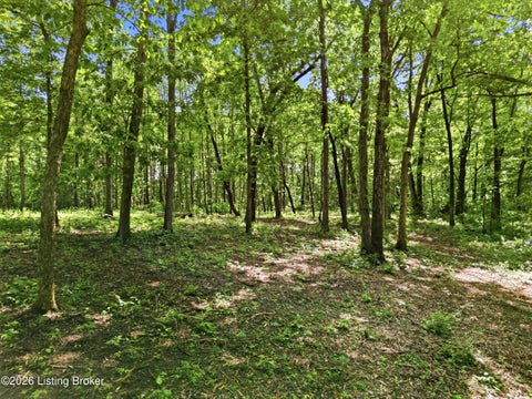 Tiny photo for 5900 Billtown Rd, Louisville, KY 40299 (MLS # 1730964)