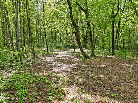 Tiny photo for 5900 Billtown Rd, Louisville, KY 40299 (MLS # 1730964)