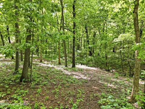 Tiny photo for 5900 Billtown Rd, Louisville, KY 40299 (MLS # 1730964)