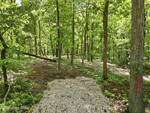 Tiny photo for 5900 Billtown Rd, Louisville, KY 40299 (MLS # 1730964)