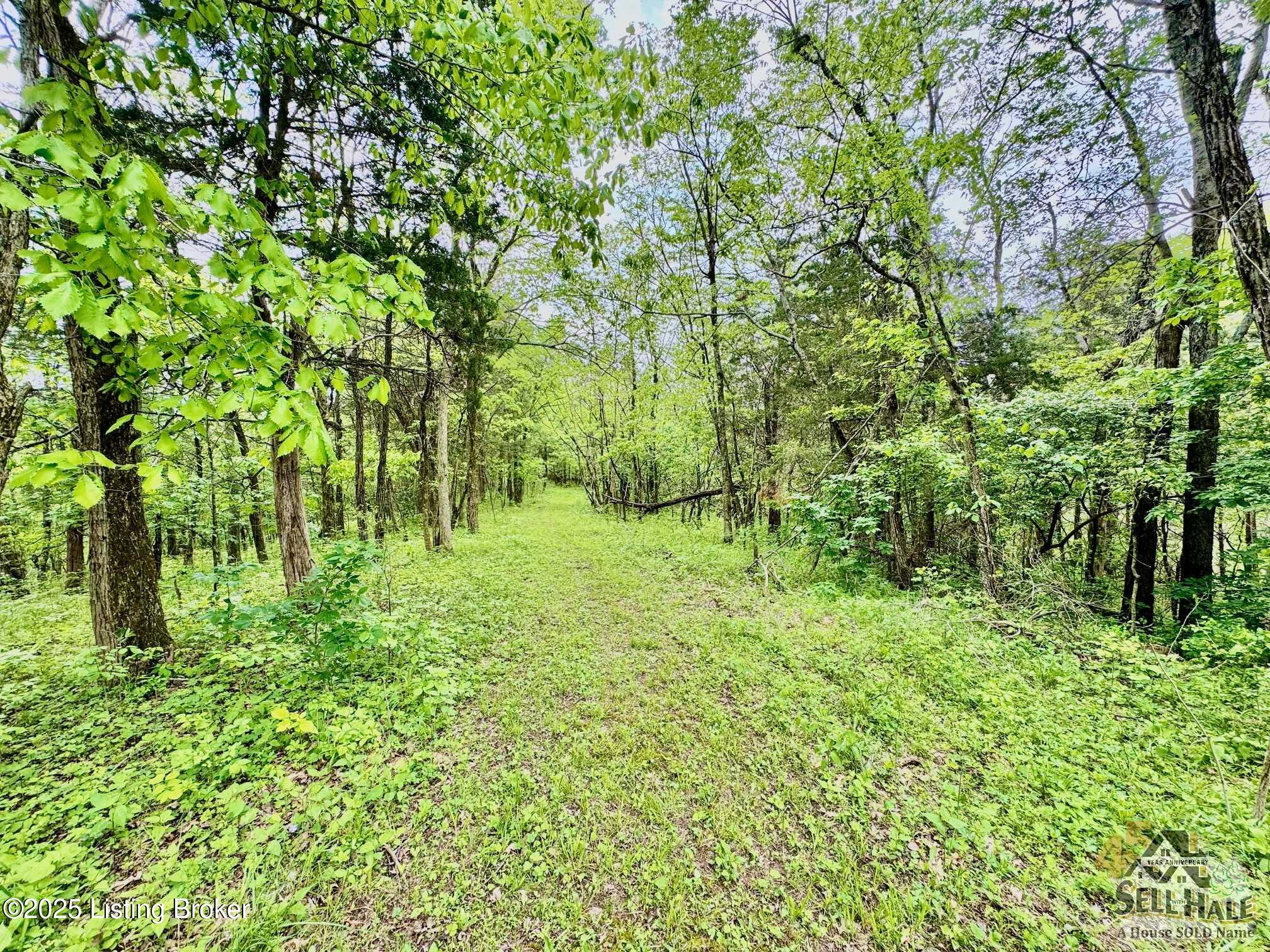 3502 Tatum Springs Rd, Willisburg, Pennsylvania image 17