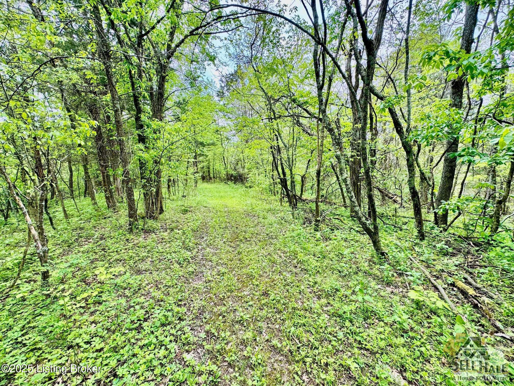 3502 Tatum Springs Rd, Willisburg, Pennsylvania image 18