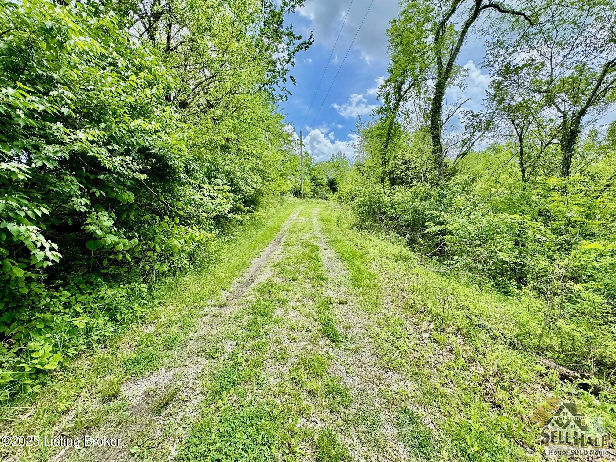 3502 Tatum Springs Rd, Willisburg, Pennsylvania image 24