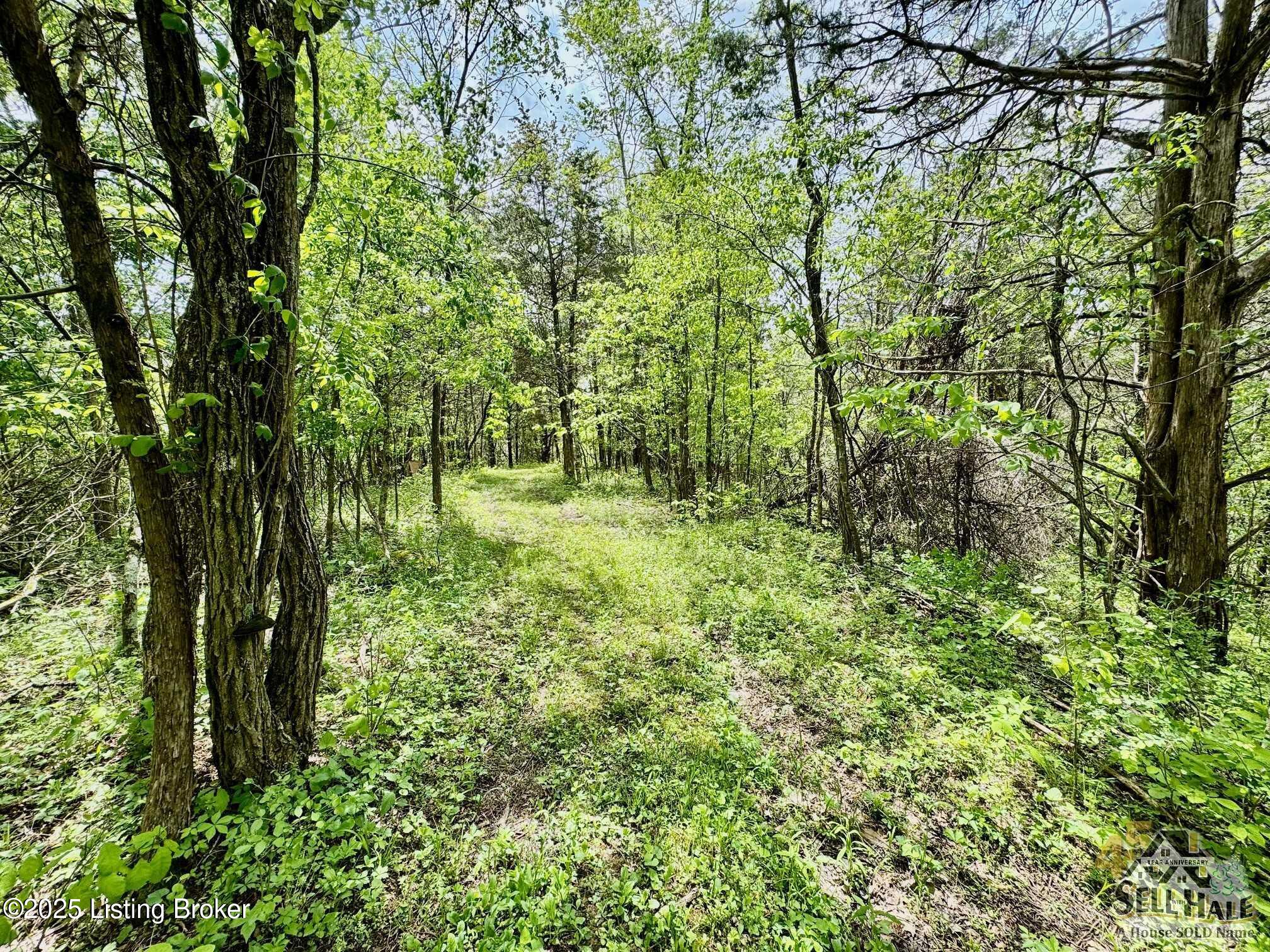 3502 Tatum Springs Rd, Willisburg, Pennsylvania image 19