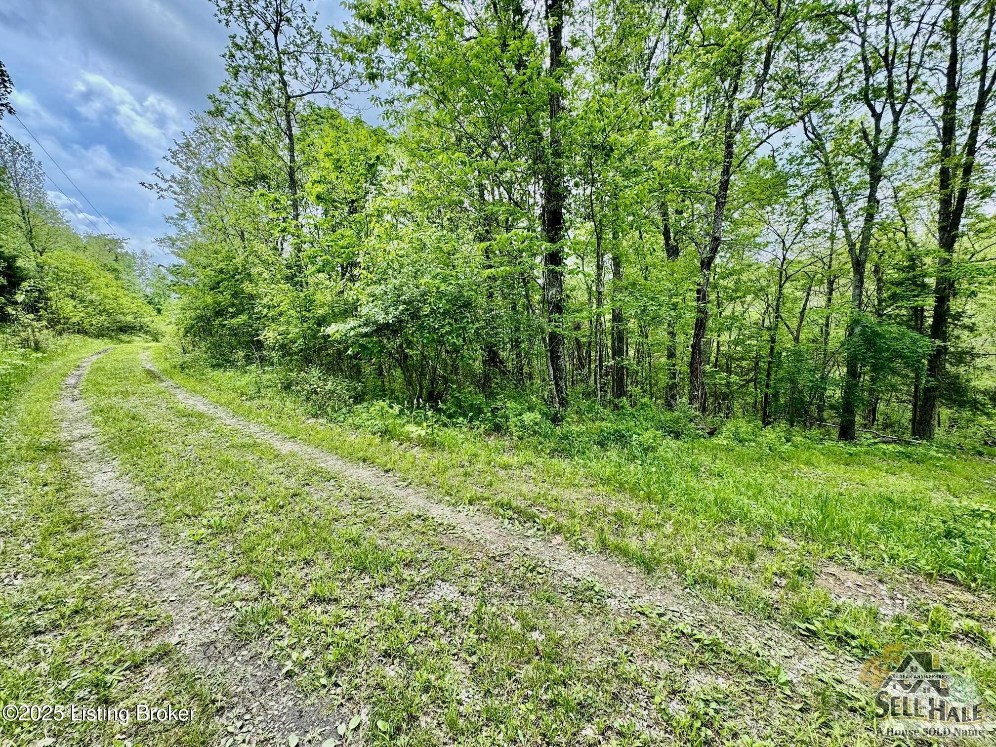 3502 Tatum Springs Rd, Willisburg, Pennsylvania image 23