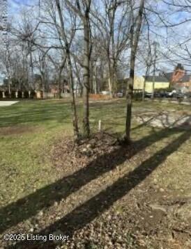 Lots 1 & 2 S 2nd St, Bardstown, Kentucky image 3
