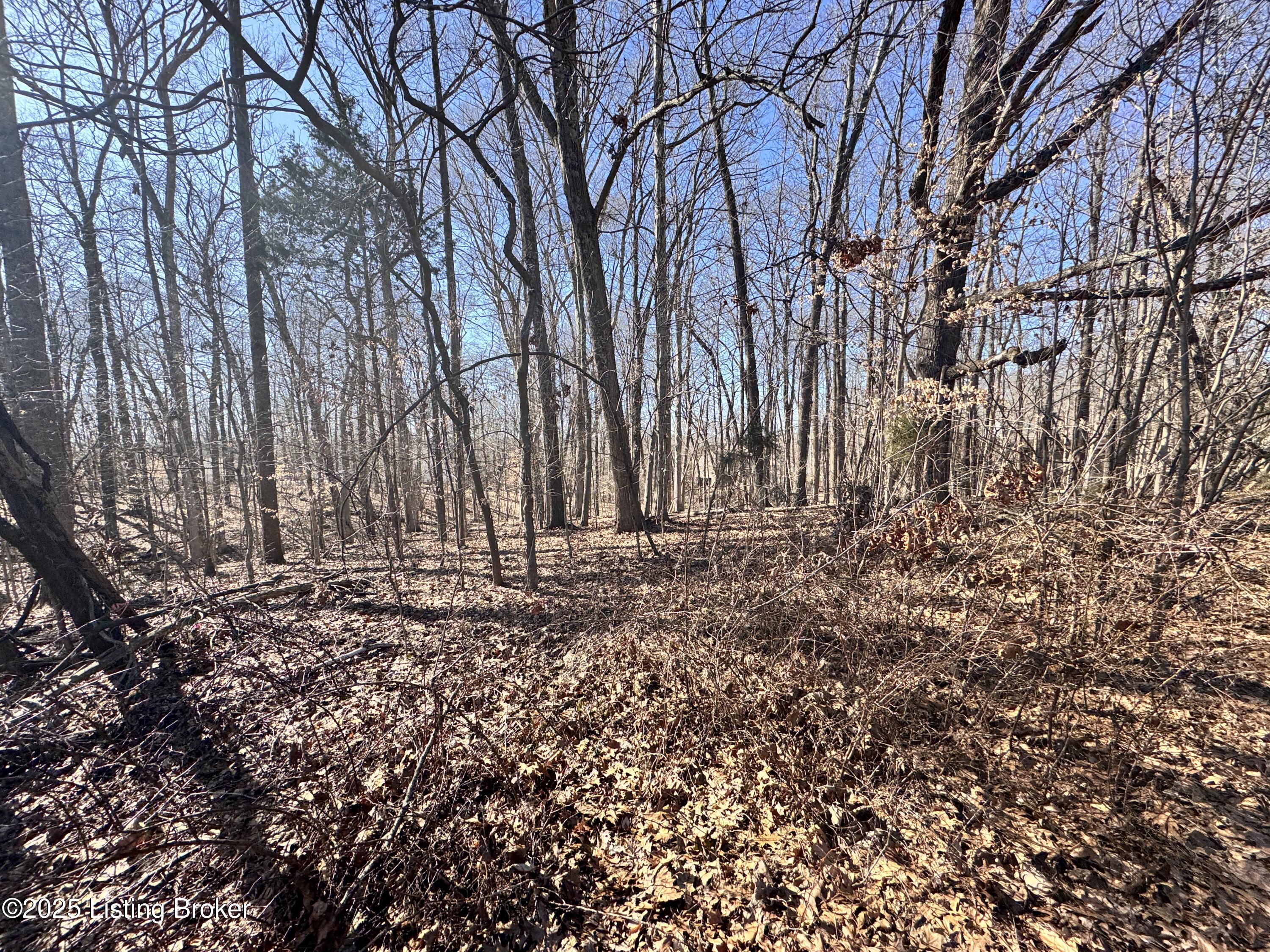 Lot 202 E Doe Valley Pkwy, Brandenburg, Kentucky image 5