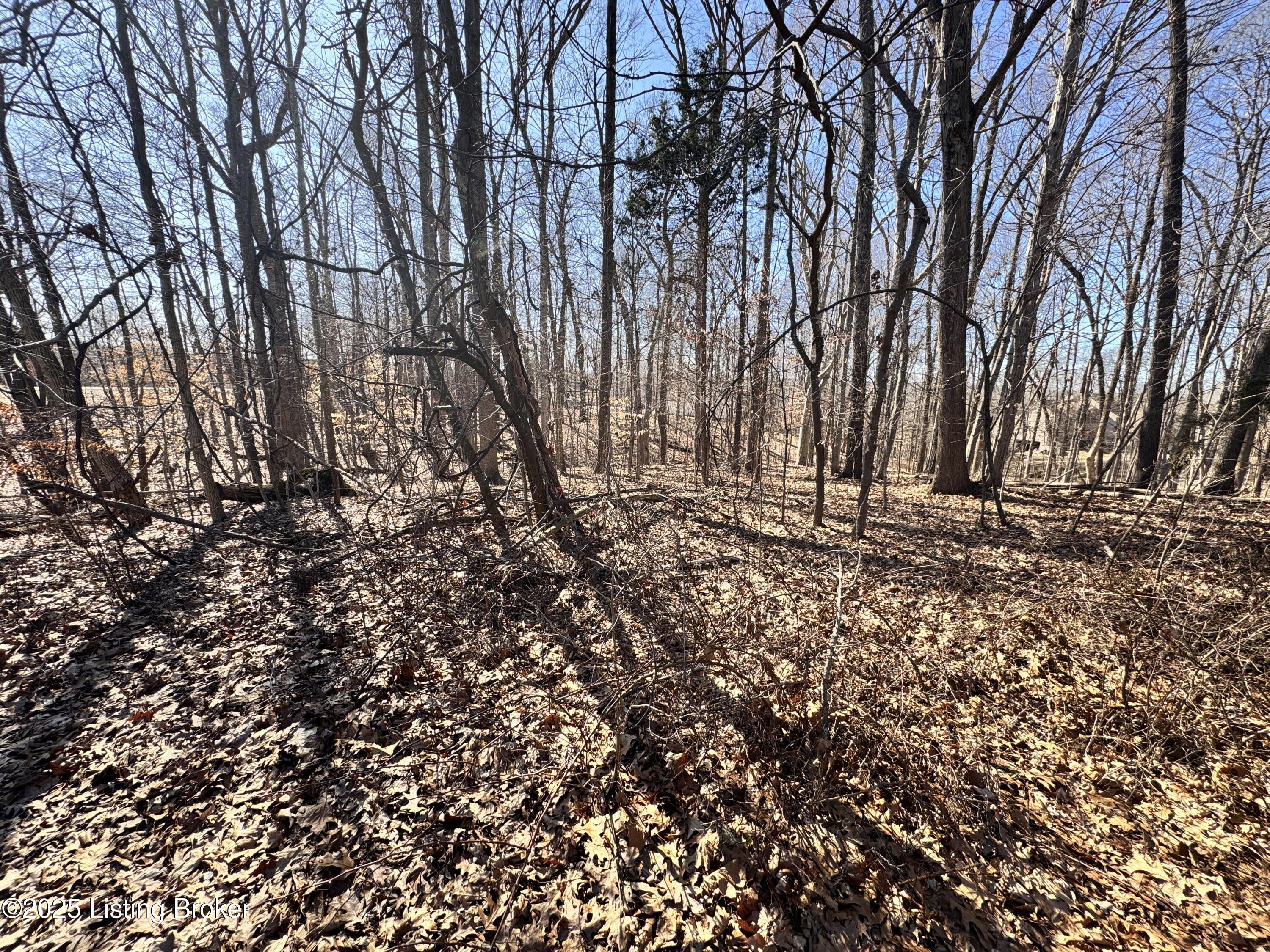 Lot 202 E Doe Valley Pkwy, Brandenburg, Kentucky image 3
