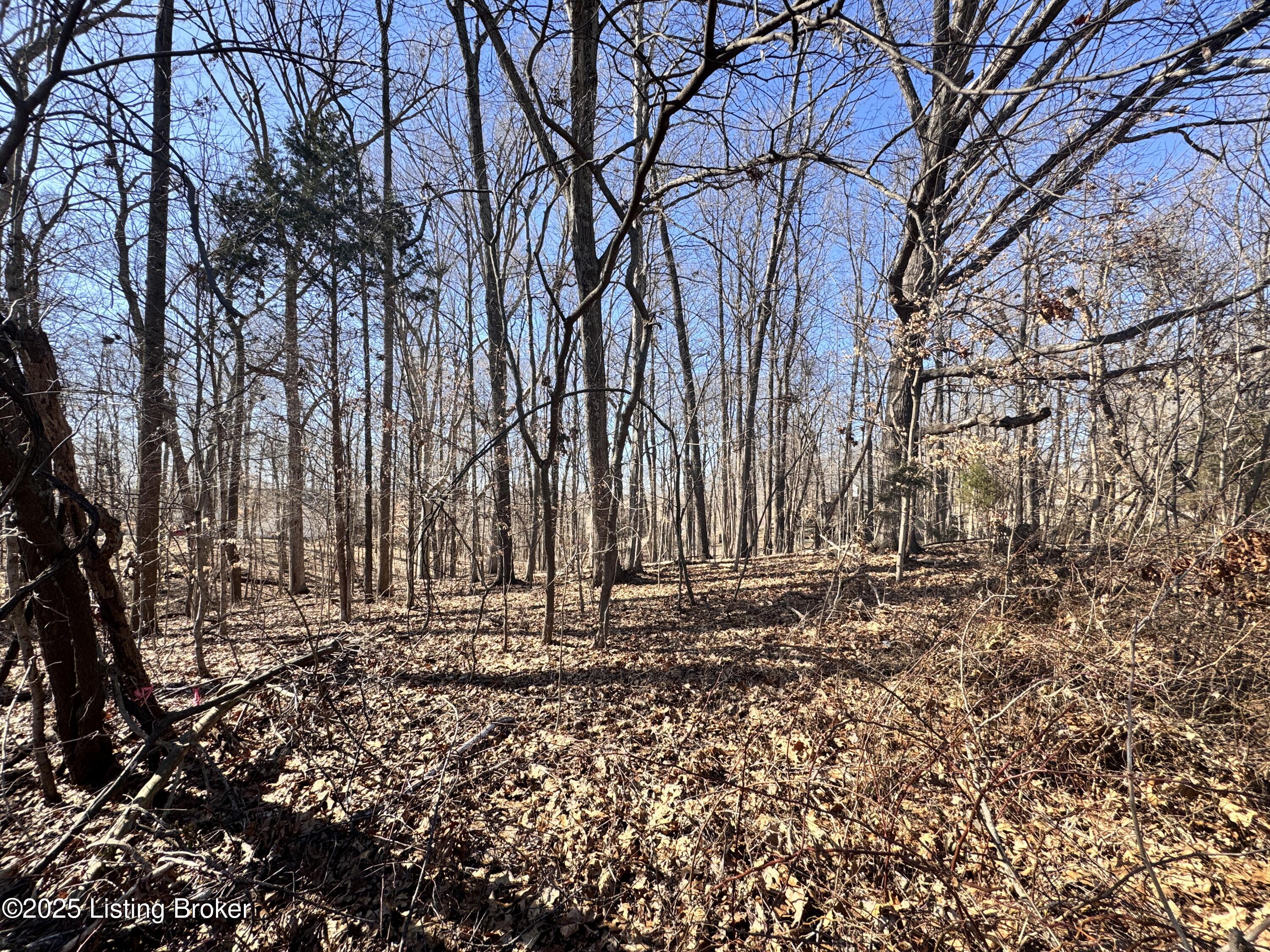 Lot 202 E Doe Valley Pkwy, Brandenburg, Kentucky image 6