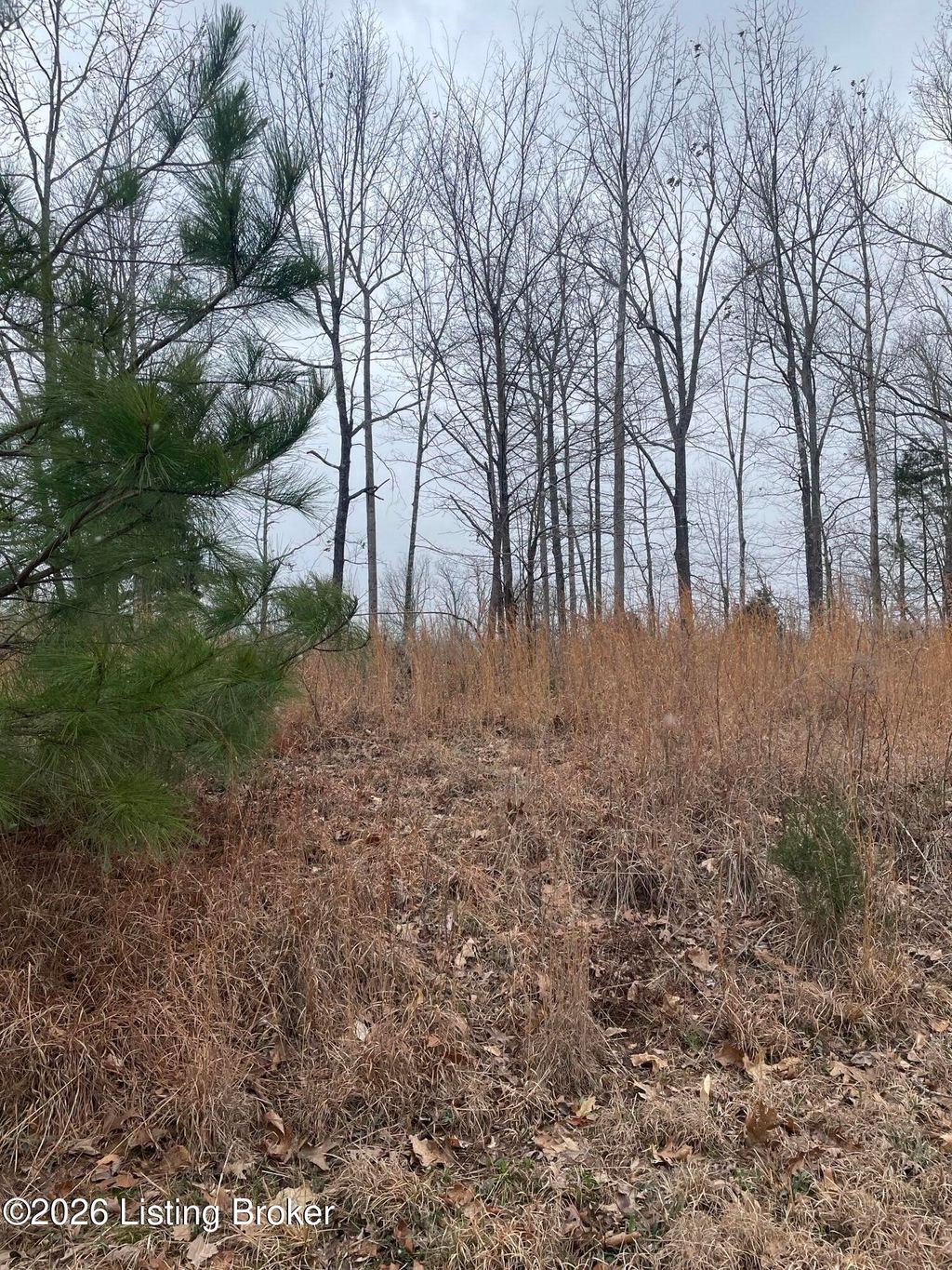 Photo of 0 Sylvan Circle, Leitchfield, KY 42754 (MLS # 1711585)