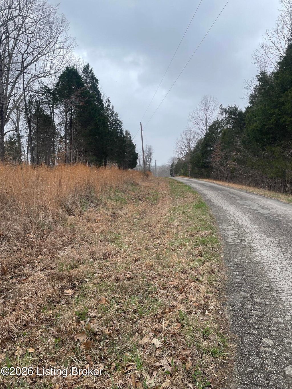 Photo of 0 Sylvan Circle, Leitchfield, KY 42754 (MLS # 1711585)